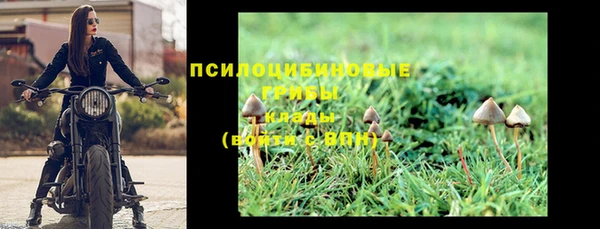 хмурый Балабаново