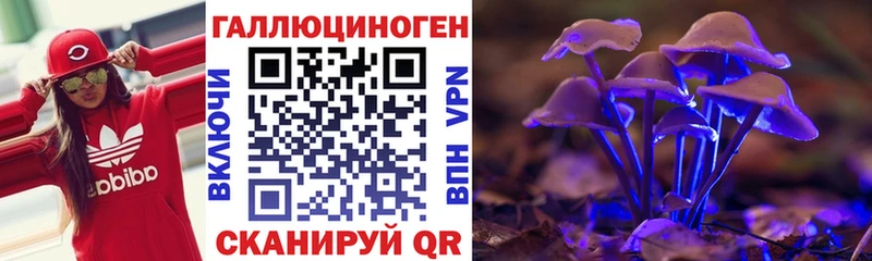 Купить где  Верещагино  Псилоцибиновые грибы Psilocybe 